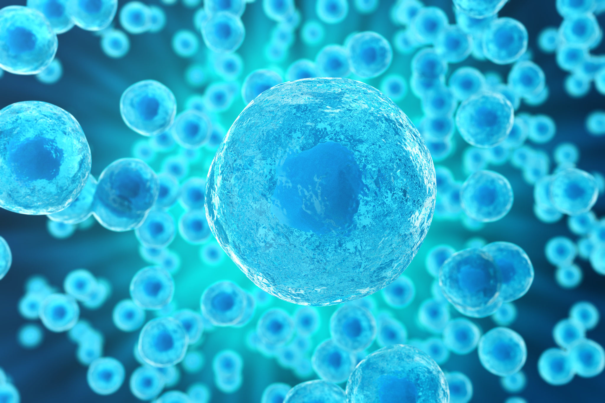 stem cell treatment of ms stem cell treatment of ms