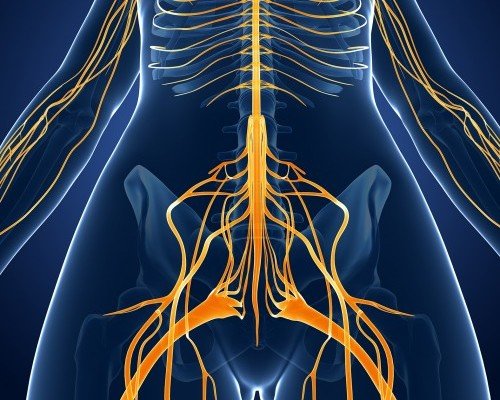 Pain Conditions - Ainsworth Institute