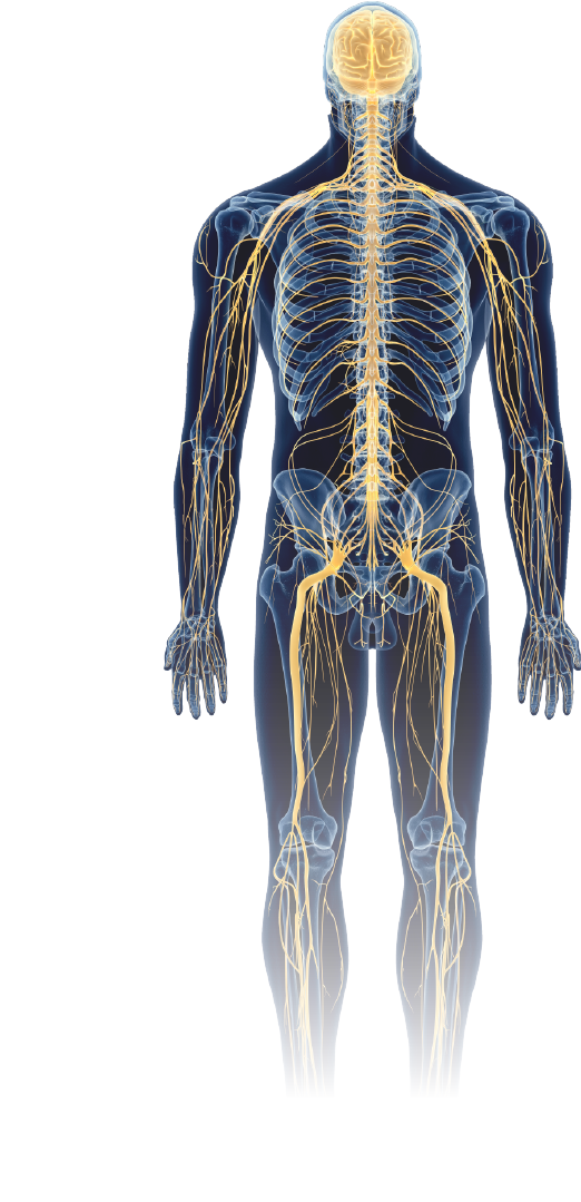 Modern Interventional Pain Management | Ainsworth Institute